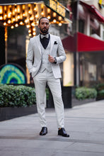Load image into Gallery viewer, Eden Slim Fit Special Grey Linen Suit
